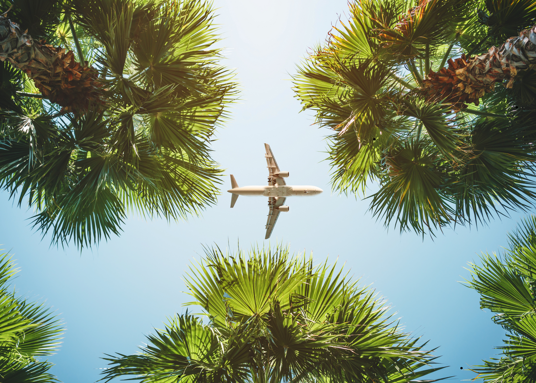 Best March Worldwide Travel Deals: Fly for Less Than $500 Round-Trip!